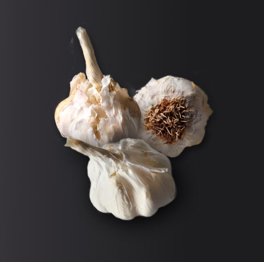 Garlic bulbs - made of mixed media - 6cm wide