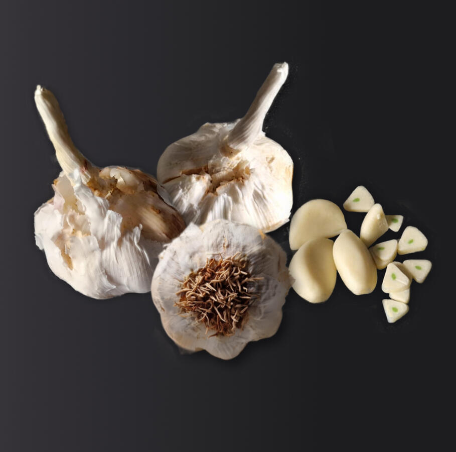 Garlic bulbs - choc cloves Garlic bulbs - choc cloves